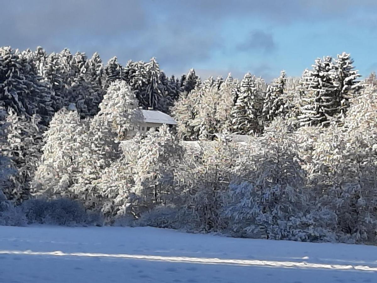 Chalet Waldstadl, Andrea'S Woidhaisl Arnbruck Buitenkant foto