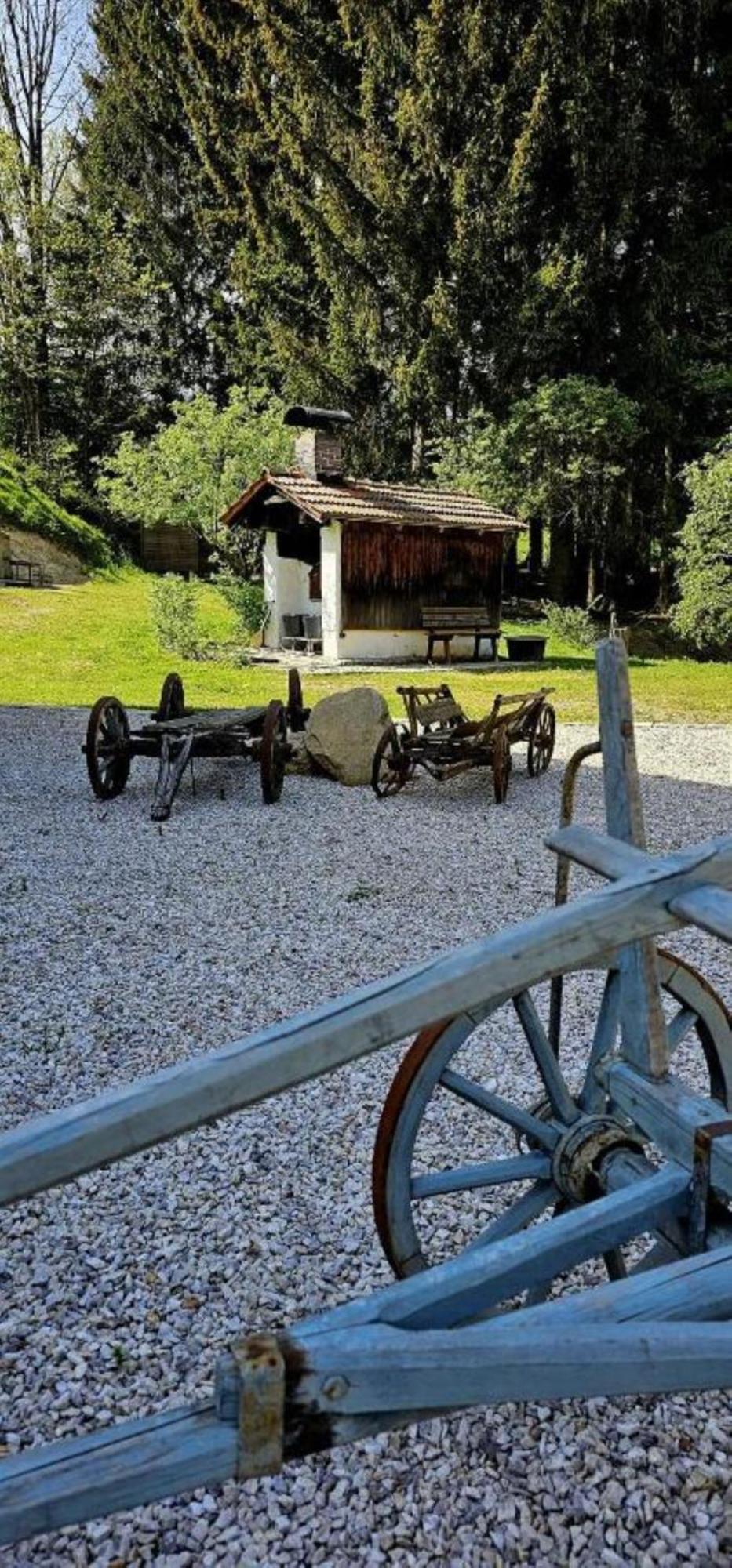 Chalet Waldstadl, Andrea'S Woidhaisl Arnbruck Buitenkant foto